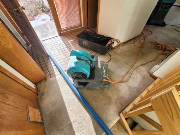 Best Local water damage restoration  in Jefferson City, TN
