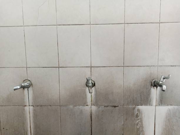 Best Mold removal after water damage  in Jefferson City, TN